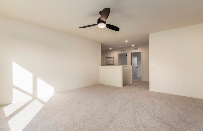 Hampton Home Design