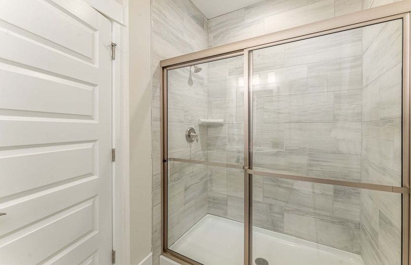 Walk-In Shower in Bathroom