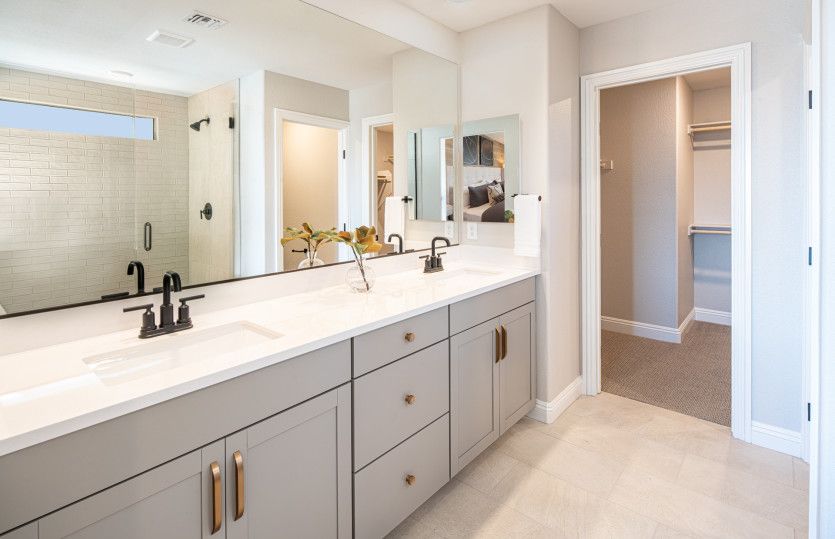 Owner's Bath
