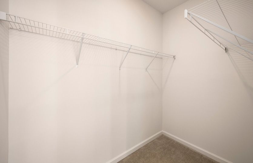 Model Representation