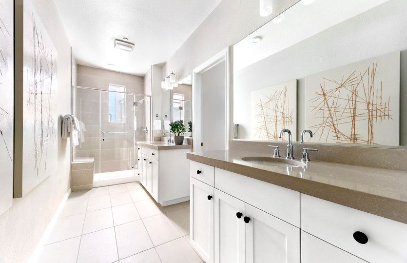 Owner's bathroom with double vanity