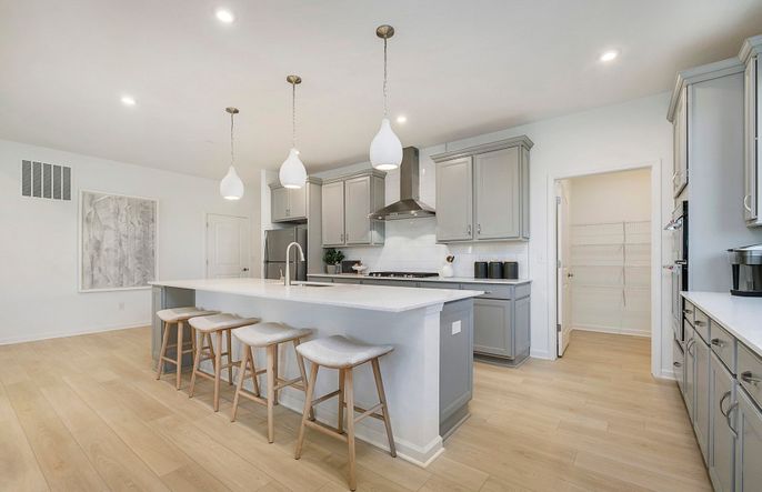 Palmary Home Design