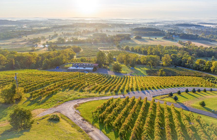 Abundance of Nearby Wineries