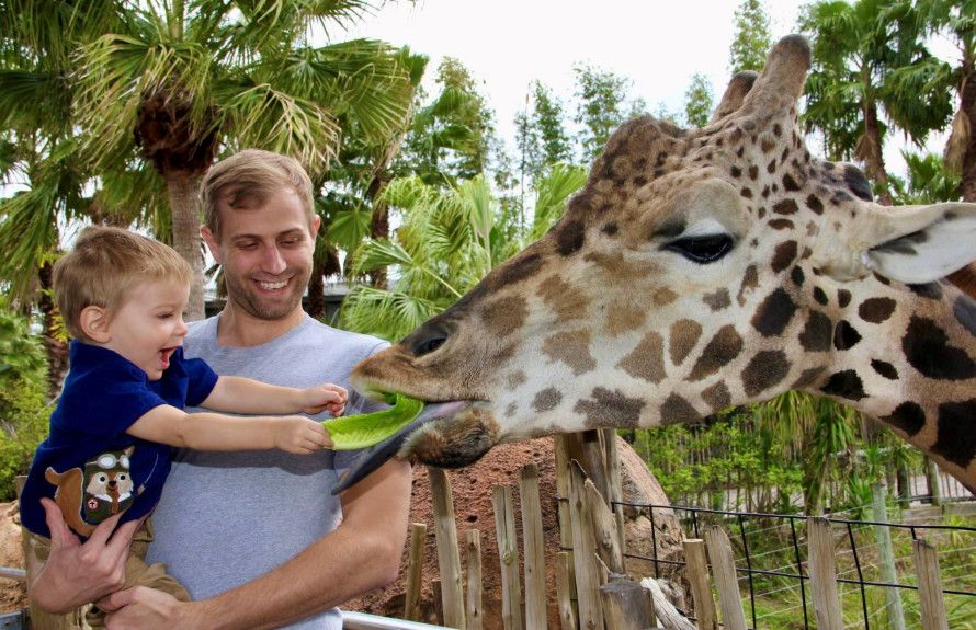 Minutes to Entertaining