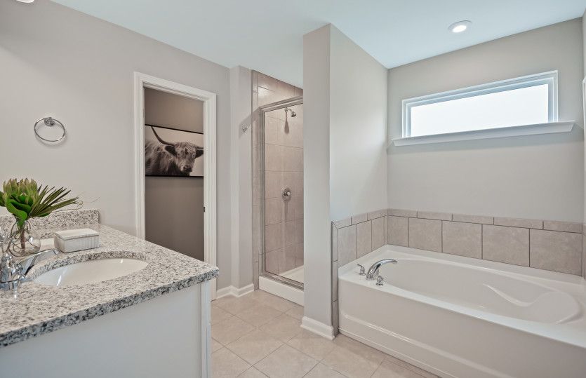 Mitchell Owner's Bath
