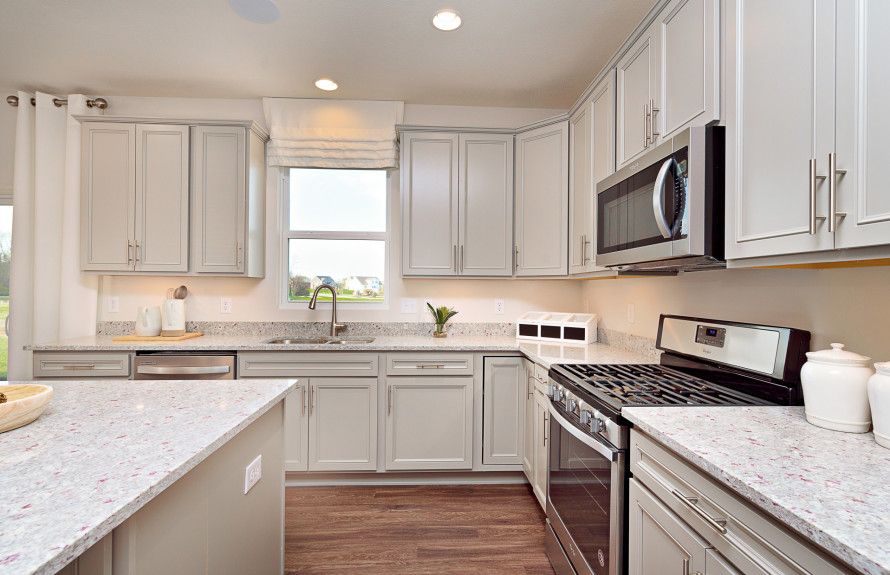 Stainless Steel Appliances