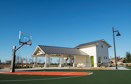Basketball Court