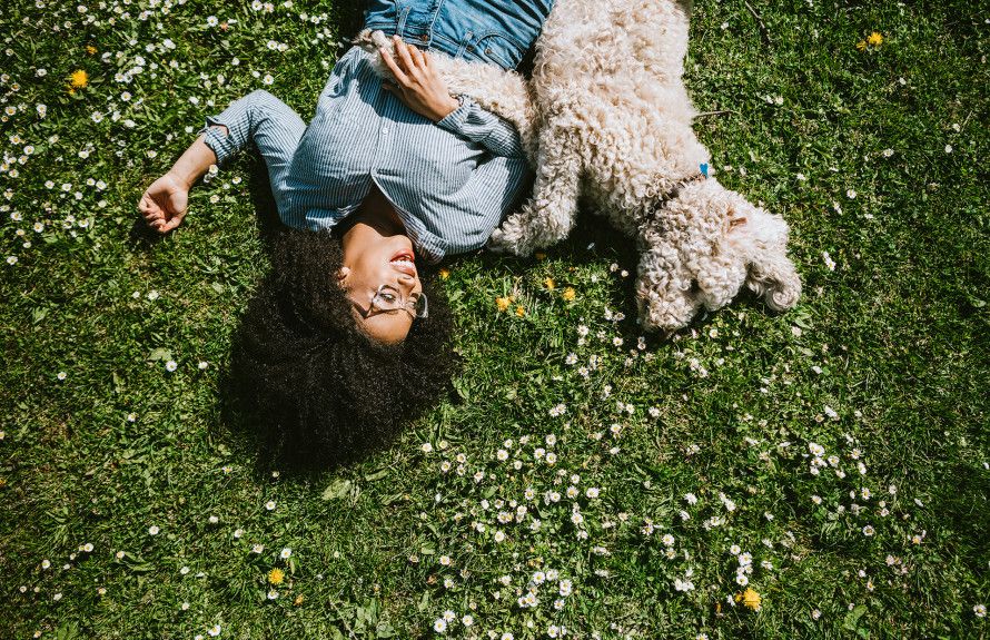 Dog Spots Throughout