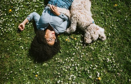 Dog Spots Throughout
