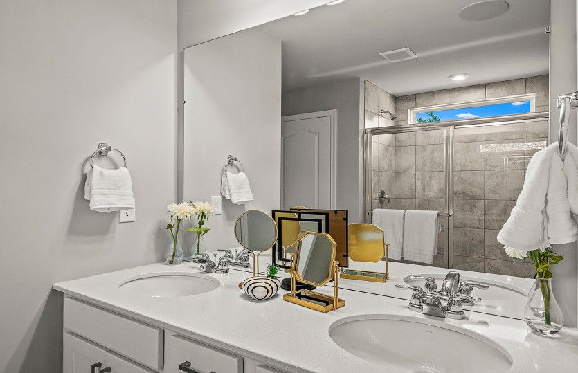 Owner's Bath