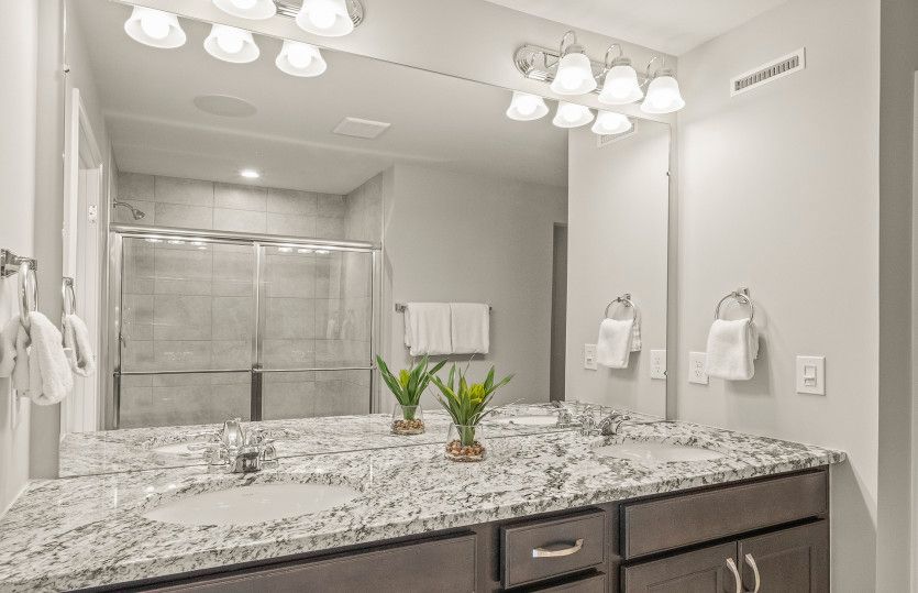 Owner's Bath