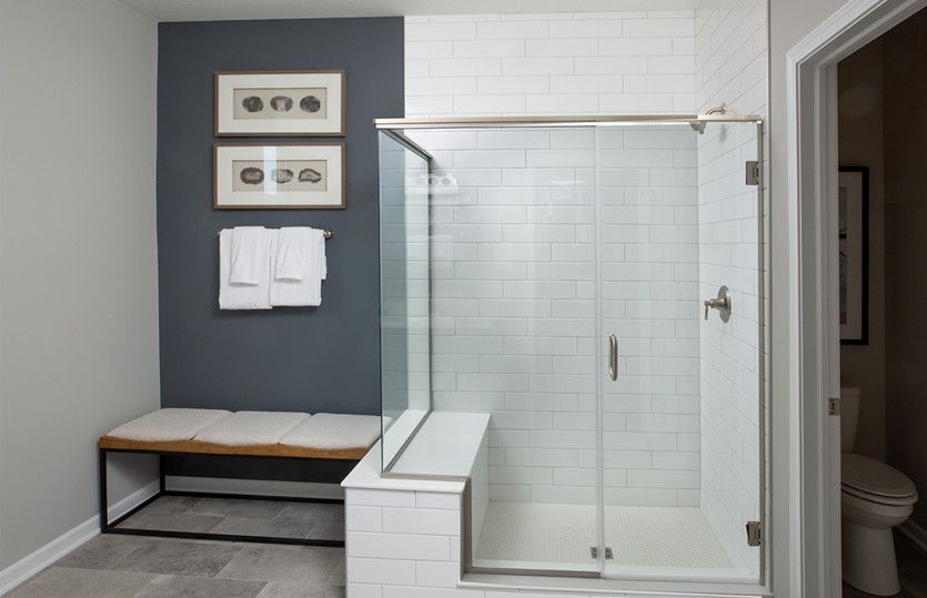 Owner's Bath