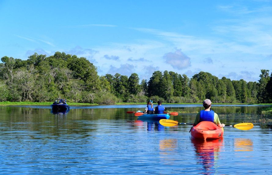Enjoy Weeki Wachee Springs