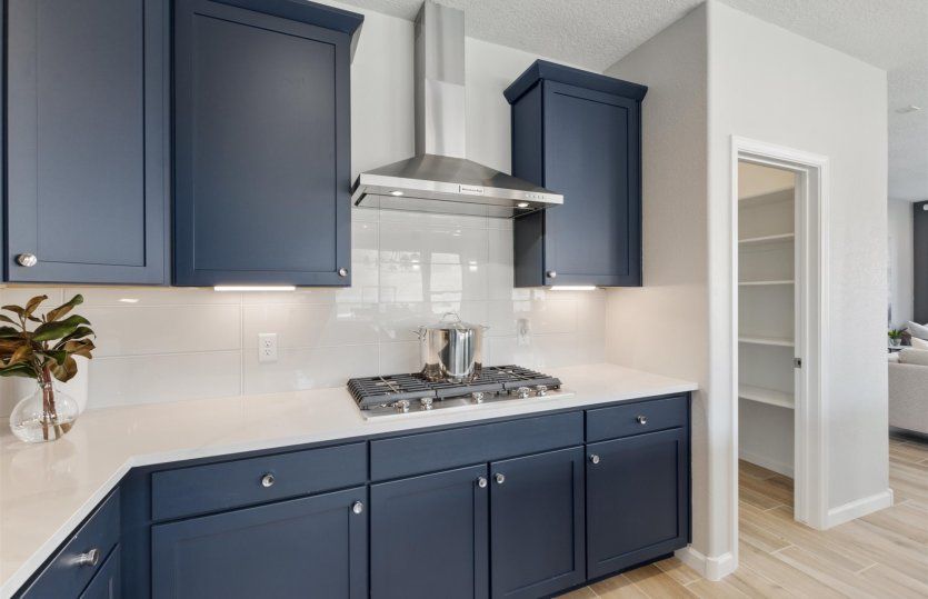 White tile backsplash and chef kitchen layout with built-in appliances.