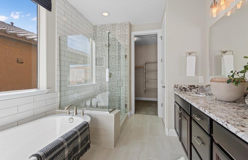 Owner's bath shown with walk-in shower, a separate tub, and dual sinks.