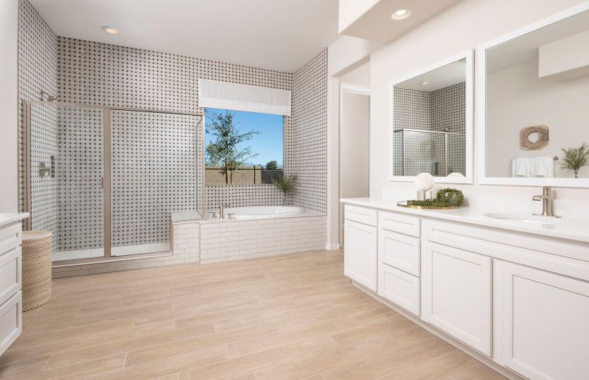 Owner's Bath