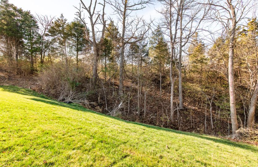 Large, Wooded Homesites