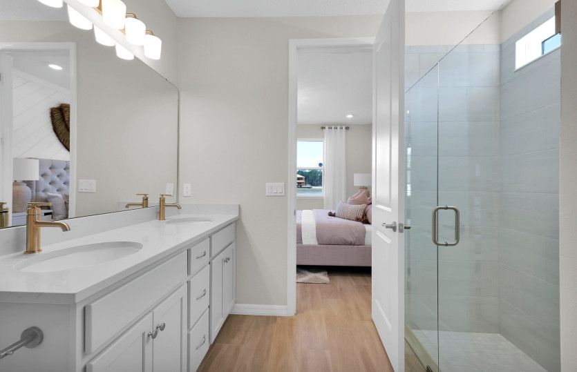 Model Representation | Owner's Bathroom
