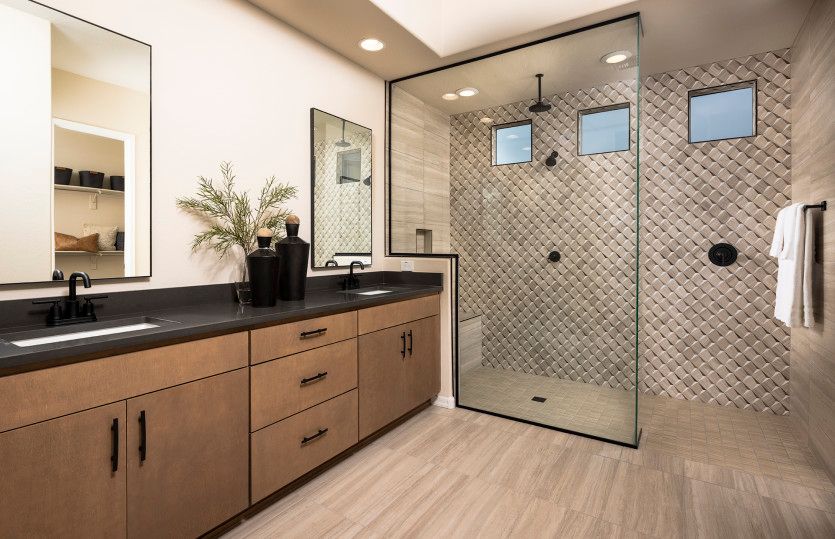 Owner's Bath