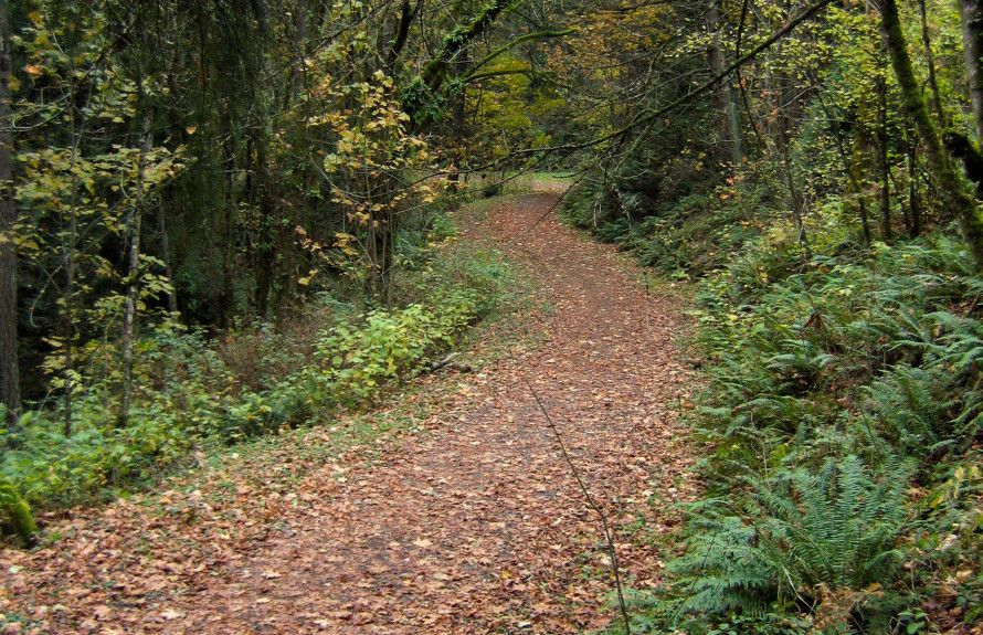 Community walking trails