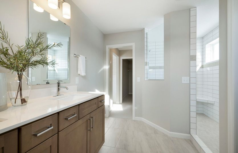 Owner's Bath