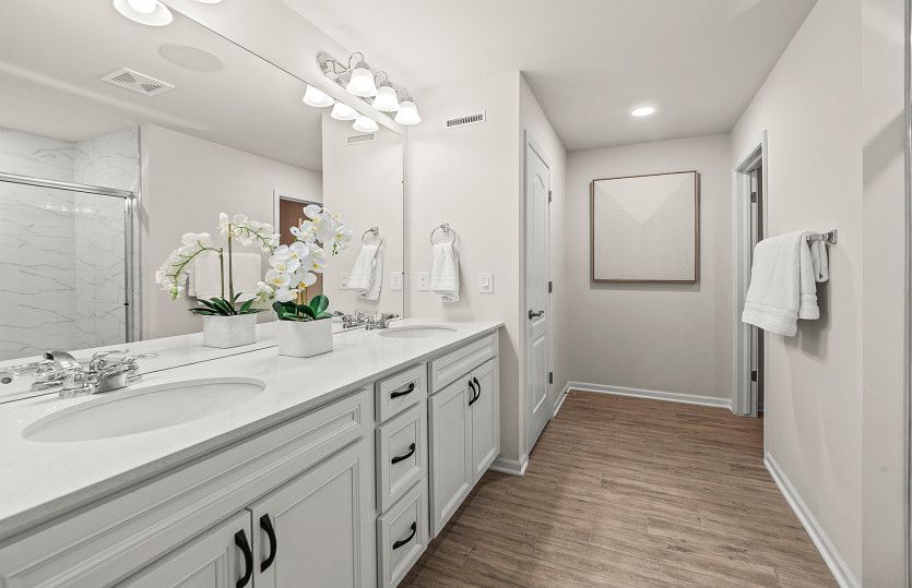 Owner's Bath