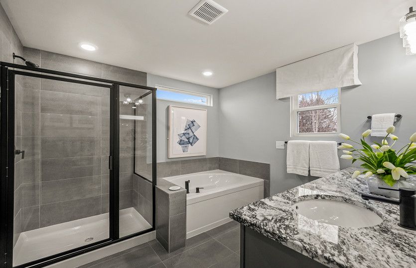 Owner's Bath