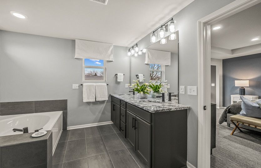 Owner's Bath