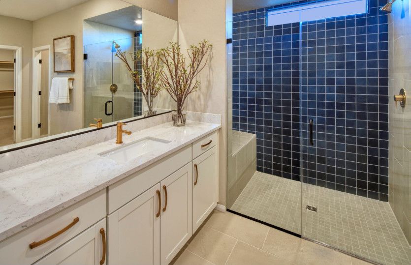 Owner's Bathroom