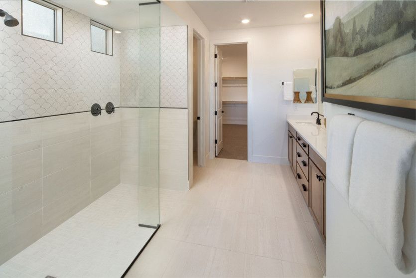 Owner's Bath