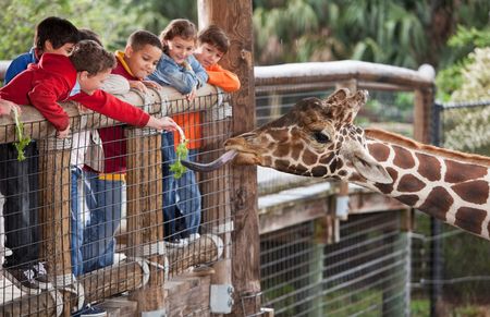 Greenville Zoo