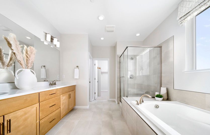 Owner's bathroom with separate tub and shower