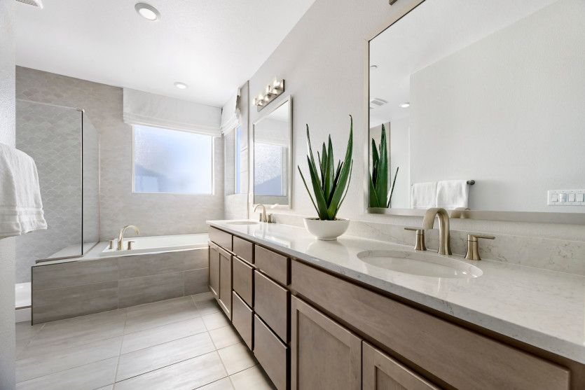 Luxurious owner's bathroom with walk in shower