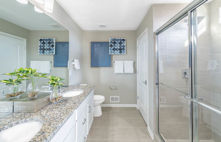 Owner's Bath