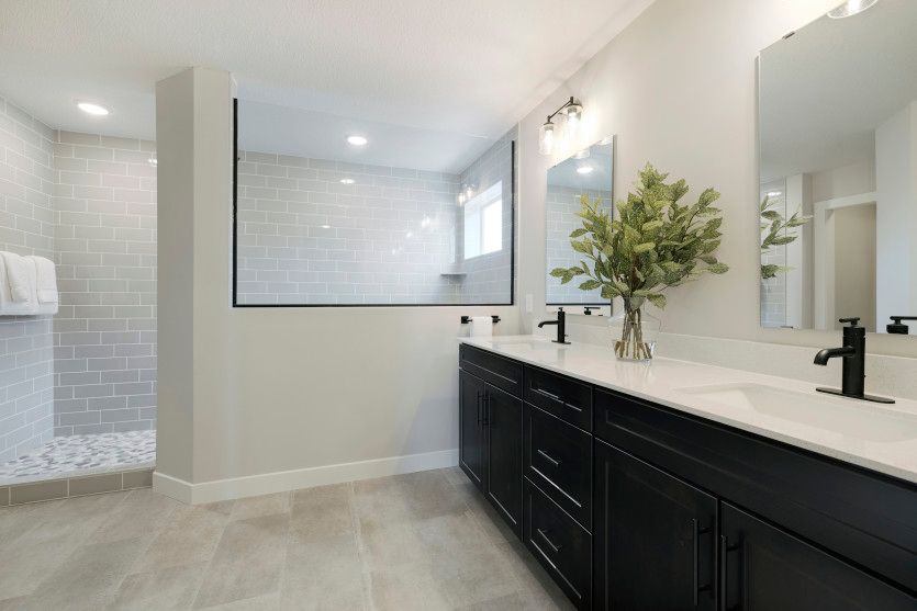Owner's Bath Suite