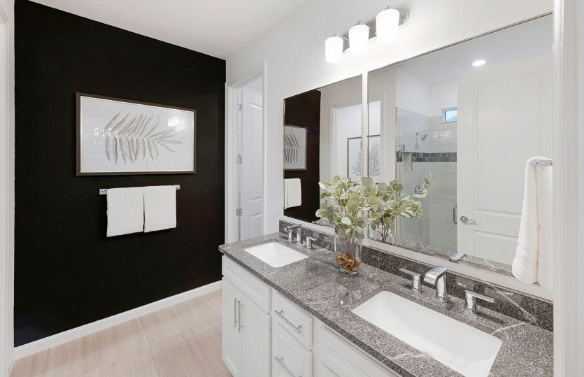Owner's Bathroom