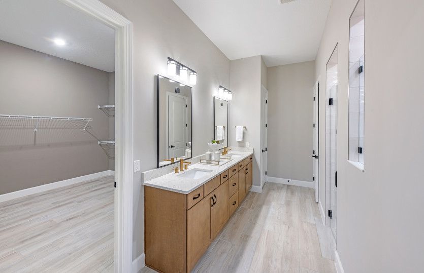 Owner's Bathroom