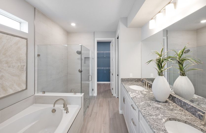 Owner's Bathroom