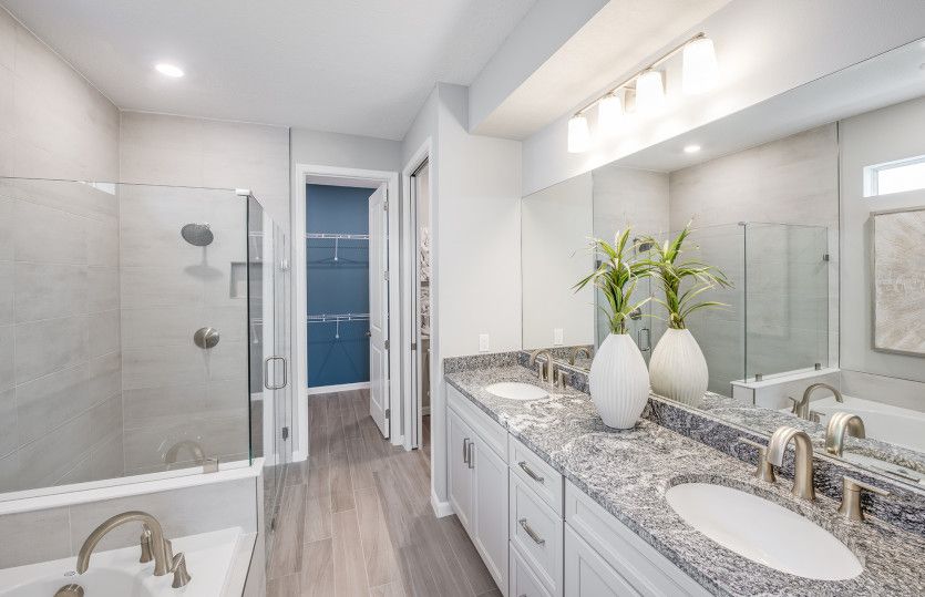 Owner's Bathroom