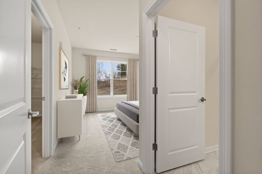 Windows to let in Natural Light