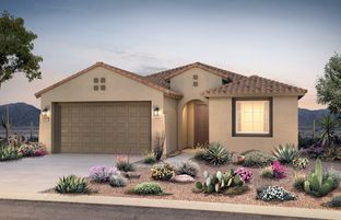 Cosenza - Saguaro Reserve at Dove Mountain: Marana, Arizona - Pulte Homes