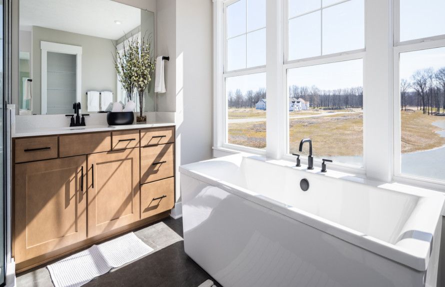 Owner's Bath with a View