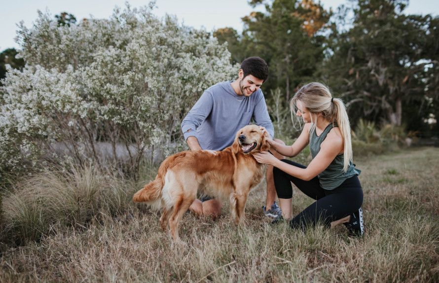 Near Davis White Park