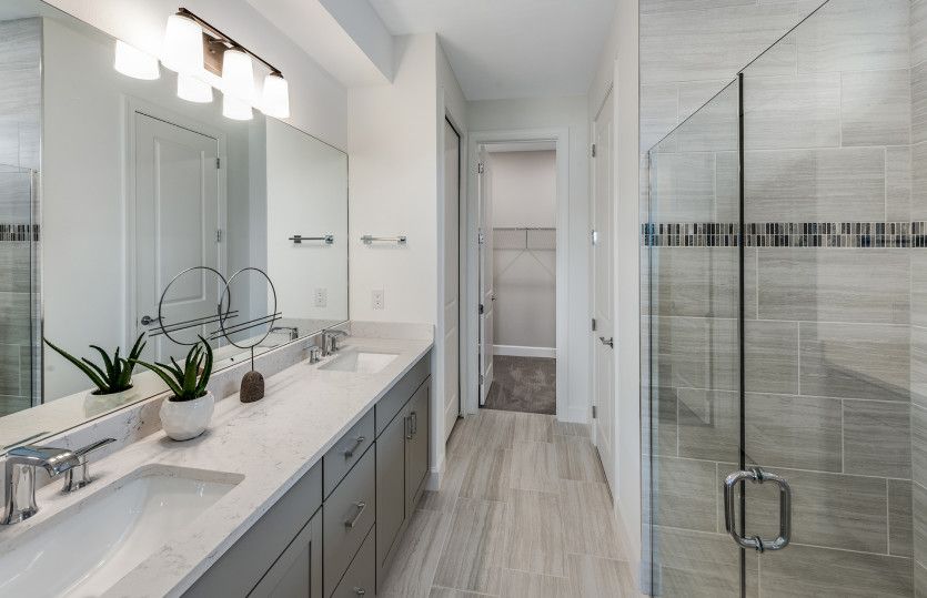 Owner's bathroom