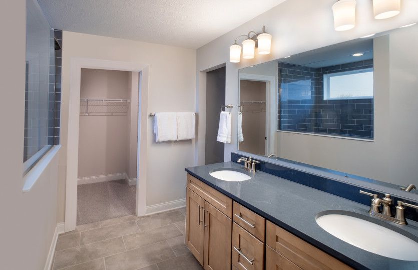 Owner's Bath