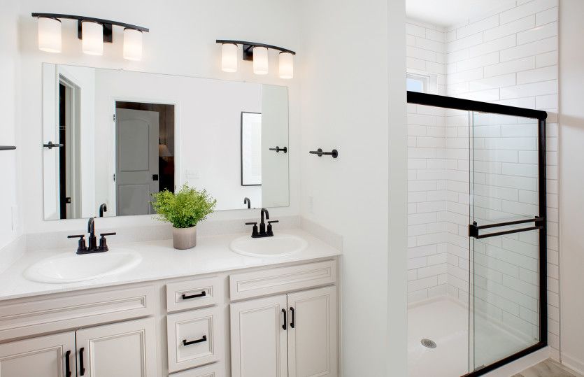 Owner's Bath