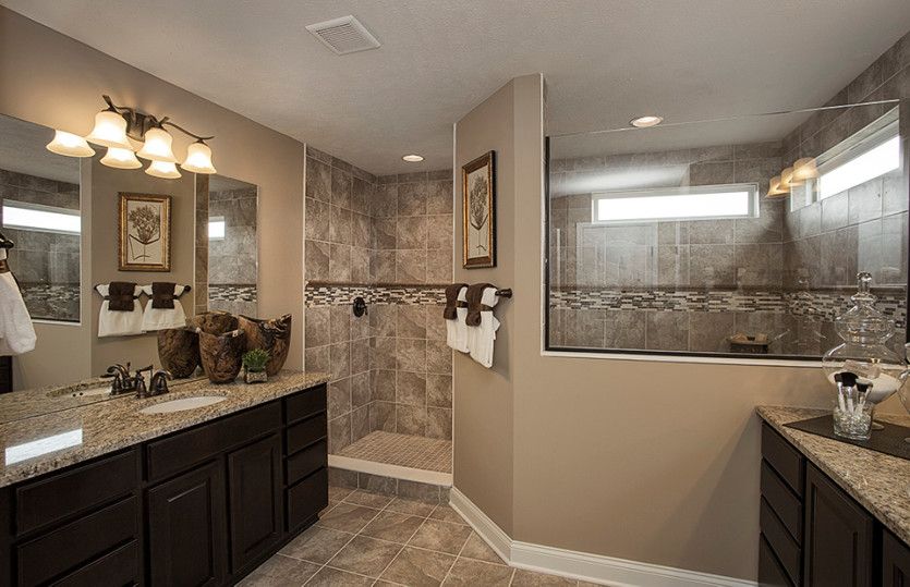 Spa Like Owner's Bath