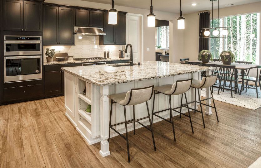 Gourmet kitchen