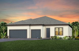 Ashby - Avalon Park at Ave Maria: Ave Maria, Florida - Pulte Homes