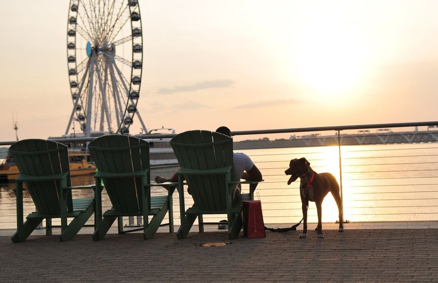 Take in the Water Views
